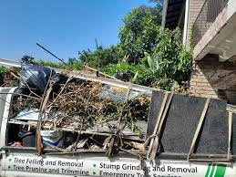 Best Construction Debris Removal  in Man, WV